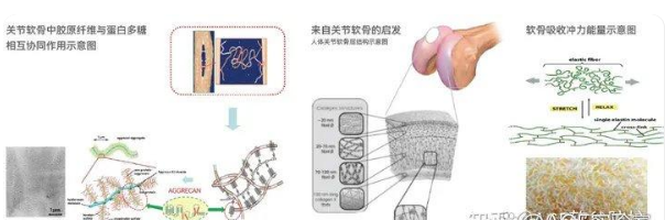什么是高分子材料