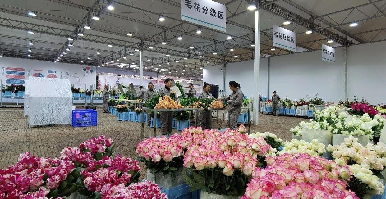 徙木立信，久久为功(图5)