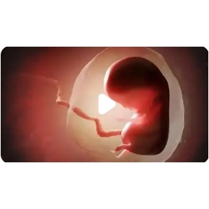 5旬男花费90余万元让17岁女孩代孕产下双胞胎，相关部门已介入调查