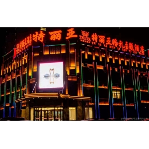 德州特丽亚婚礼酒店，电话：0534-2255888。特丽亚艺术中心电话：0534-2255666